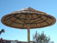 African Reed Palapa